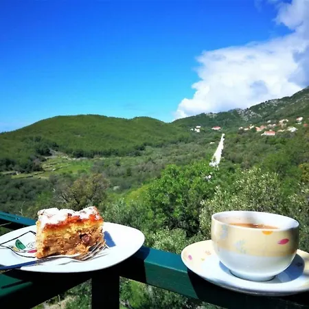 With Parking Space Babino Polje, Mljet - 22323 Apartman Babino Polje